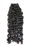 Burmese Curly